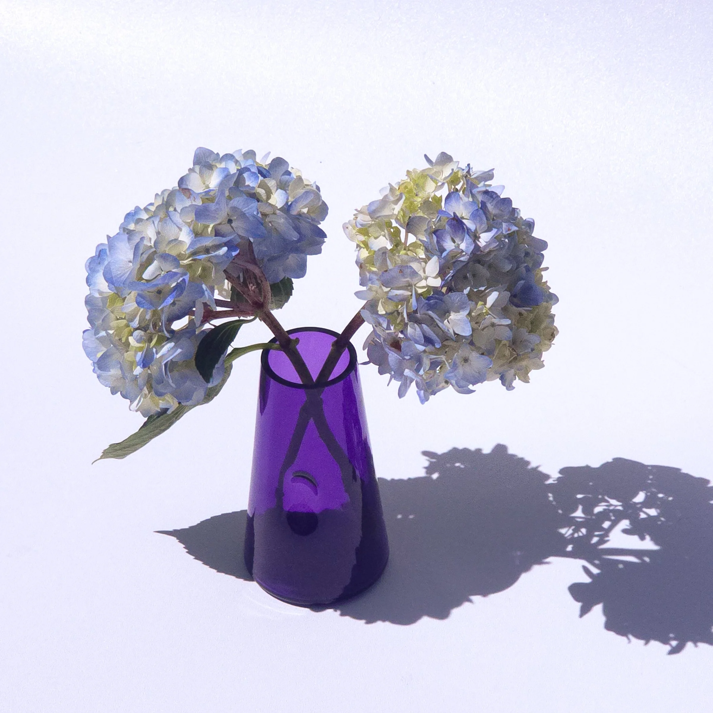 transbudvase-3.jpg