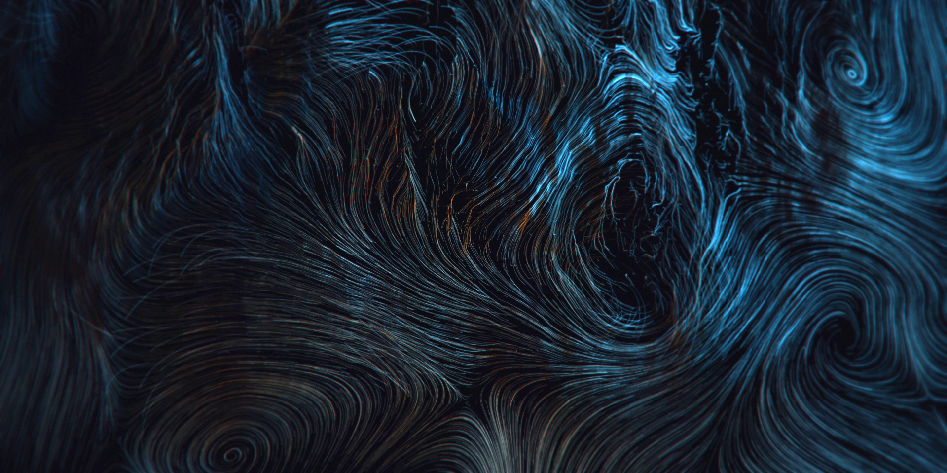 net_folds_04_out copy.jpg