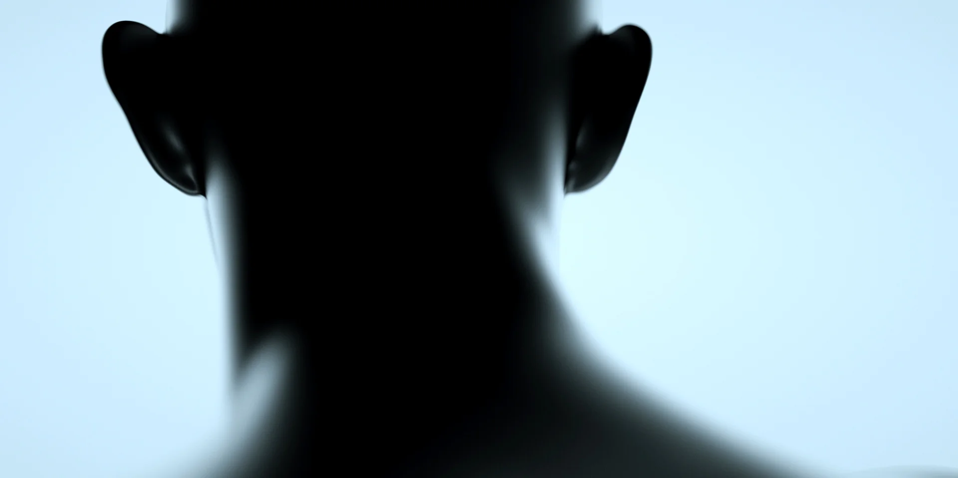 torso01.jpg