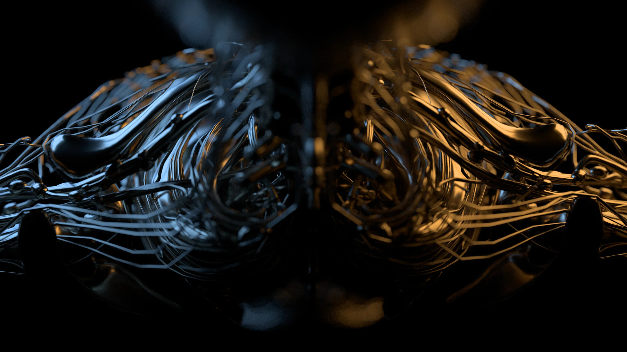 body Anatomy_02_Red_SHift01.jpg