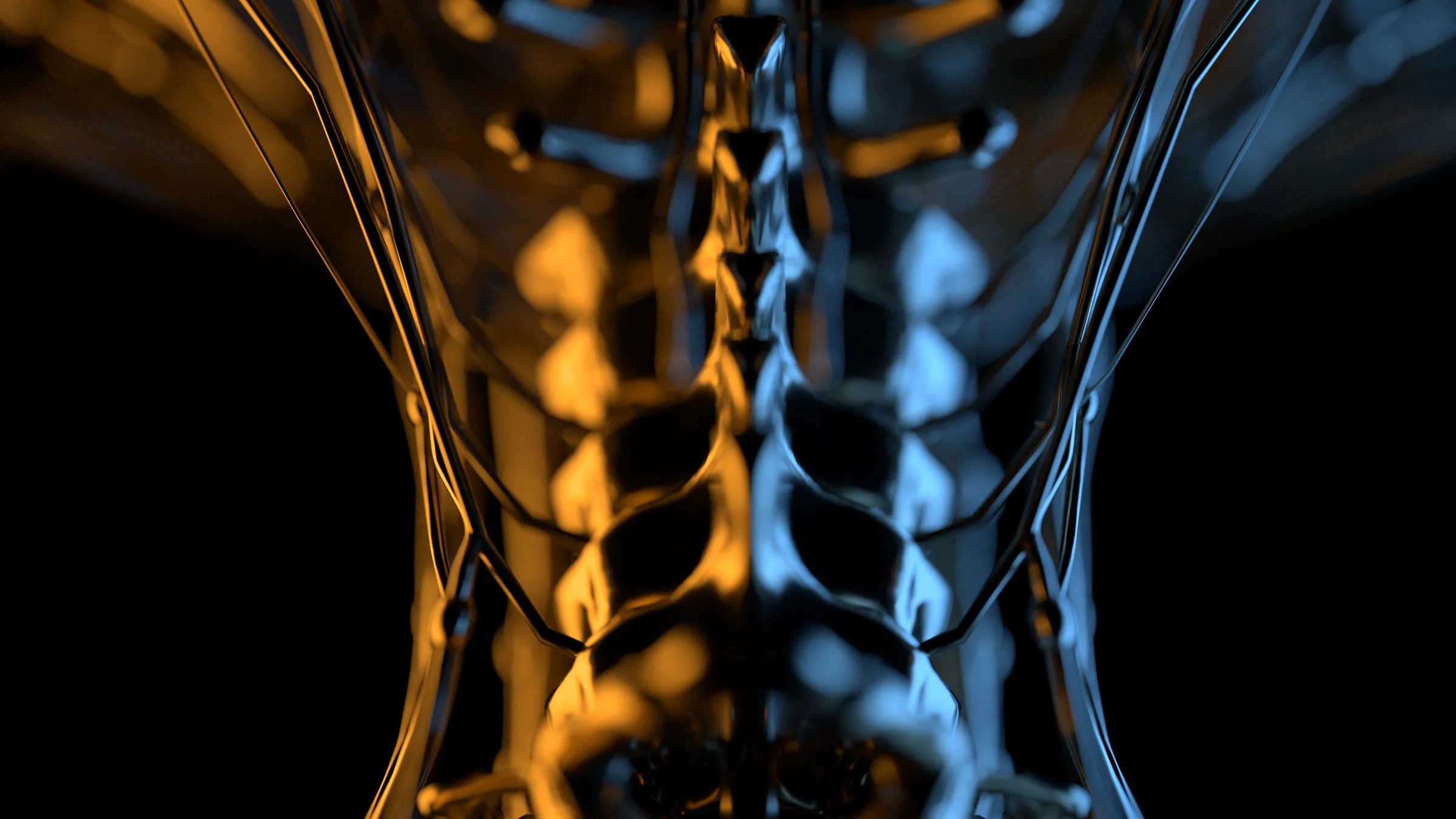 body Anatomy_02_Red_SHift08.jpg