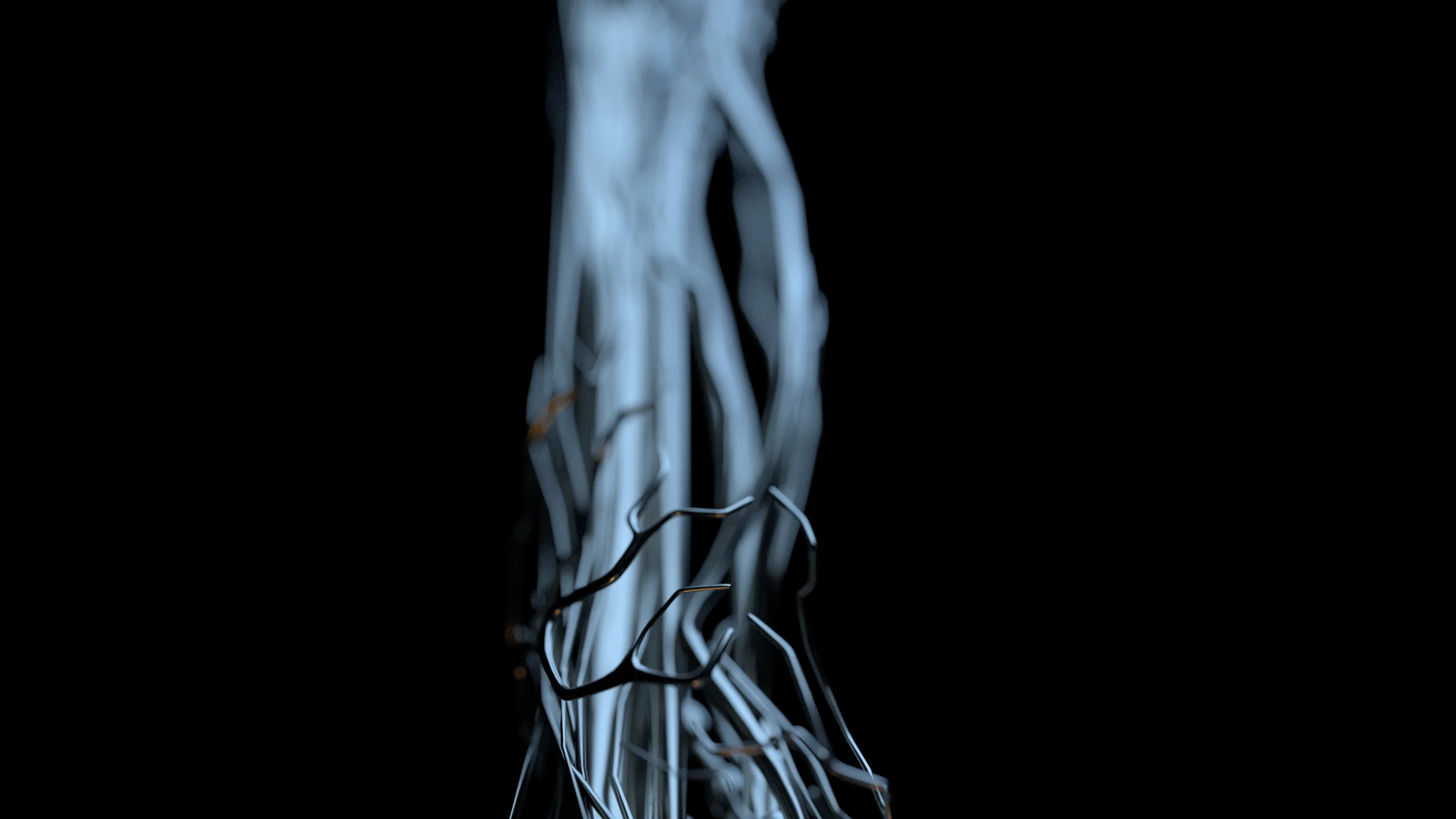 body Anatomy_02_Red_SHift06.jpg