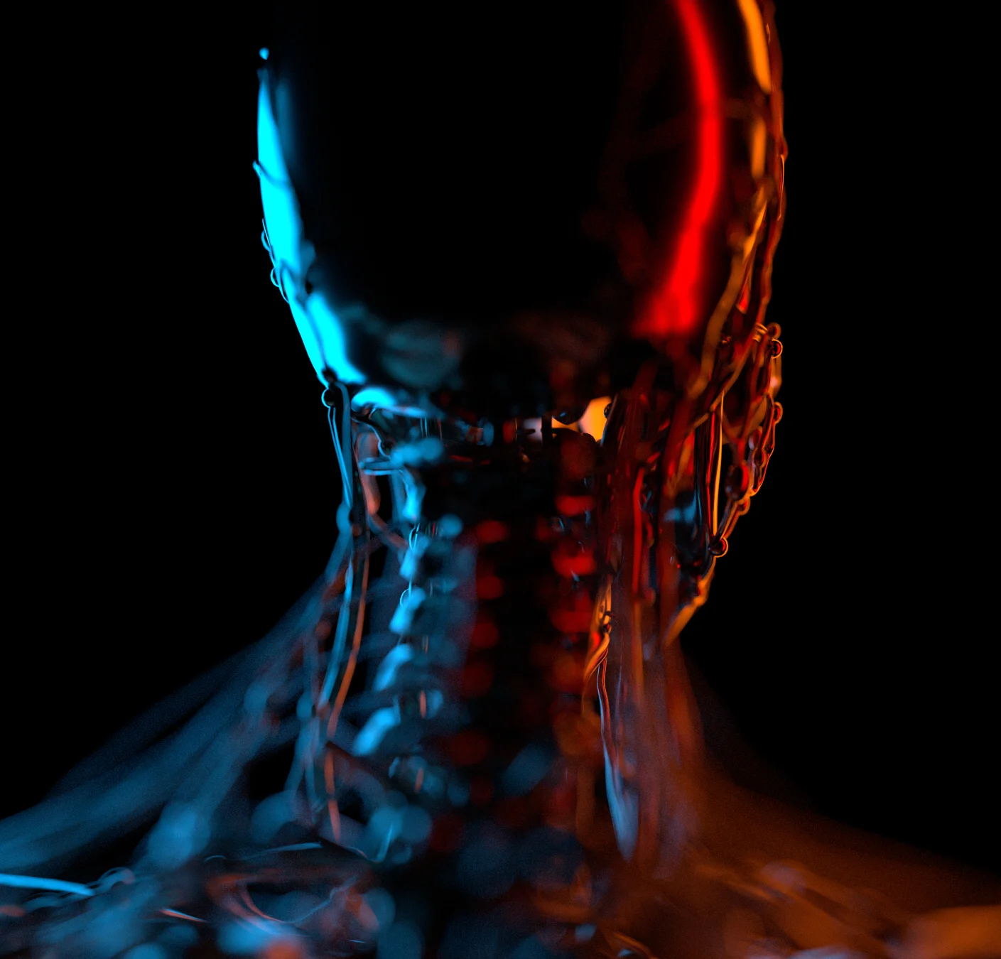 body Anatomy_02_Red_SHift_NEW_01.jpg