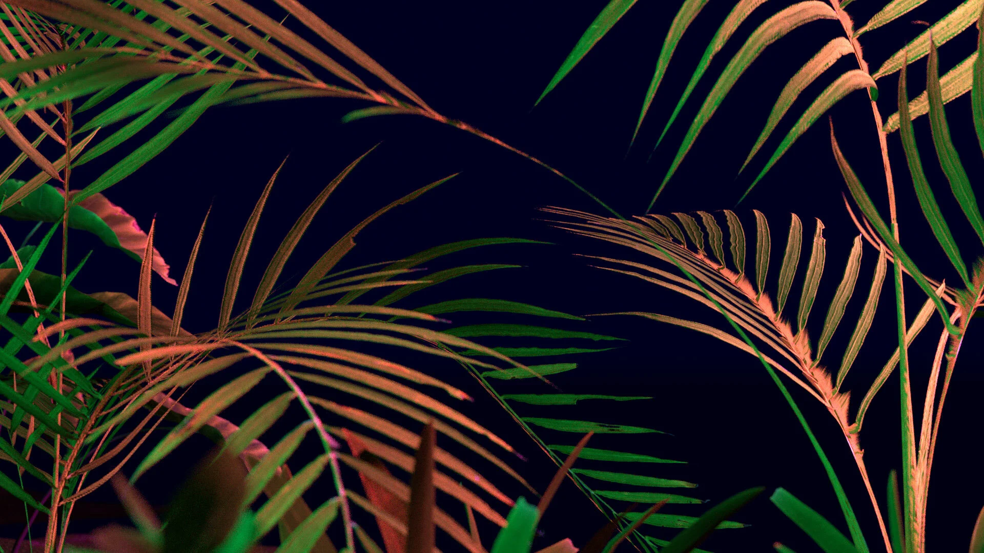011020_Garden_closeup08HD.jpg