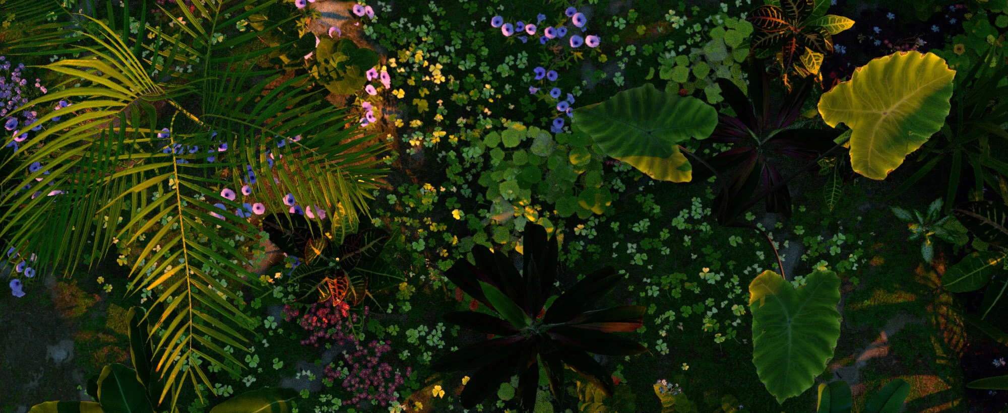 011020_Garden_closeup09.jpg