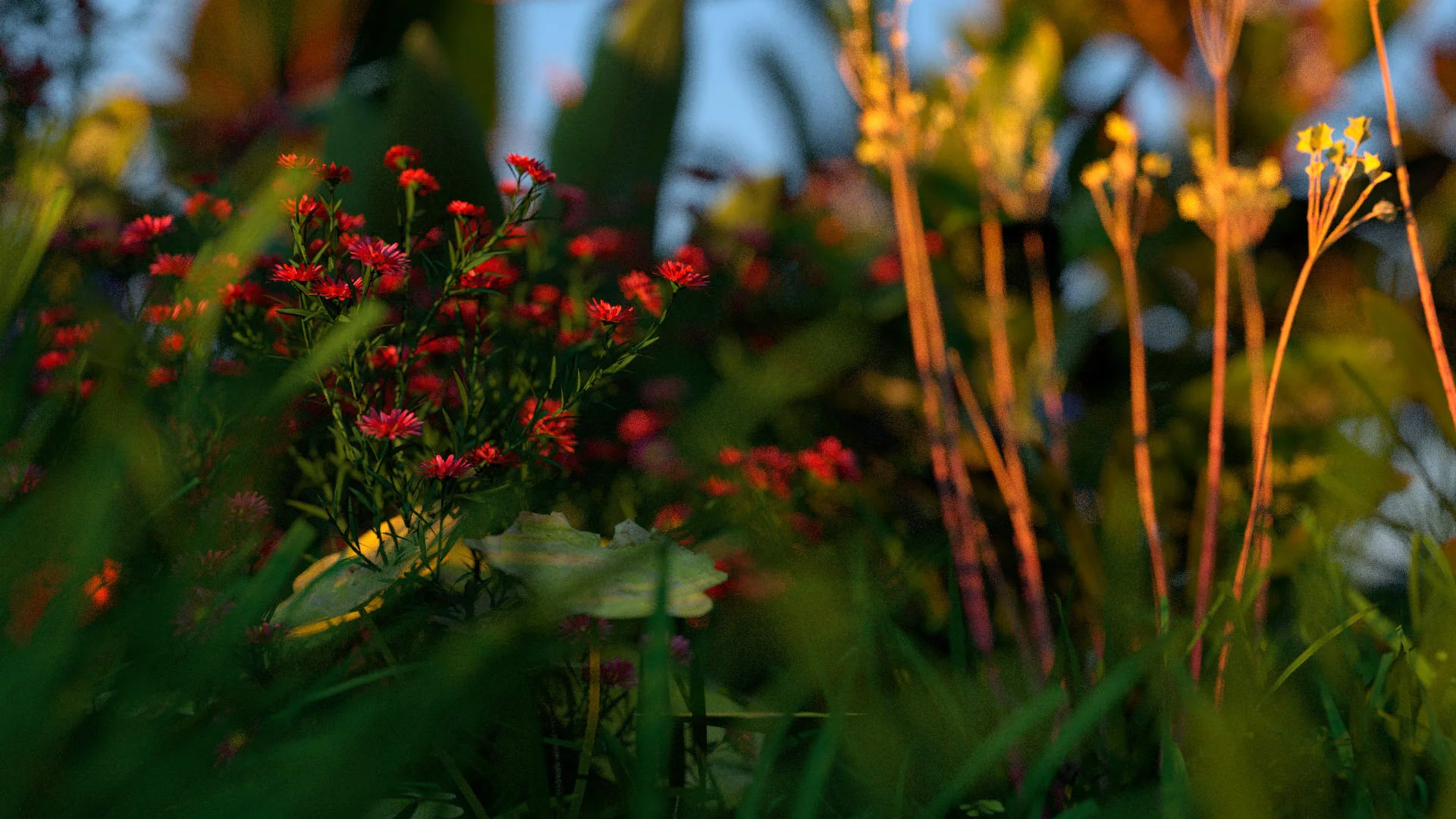011020_Garden_closeup02DE.jpg