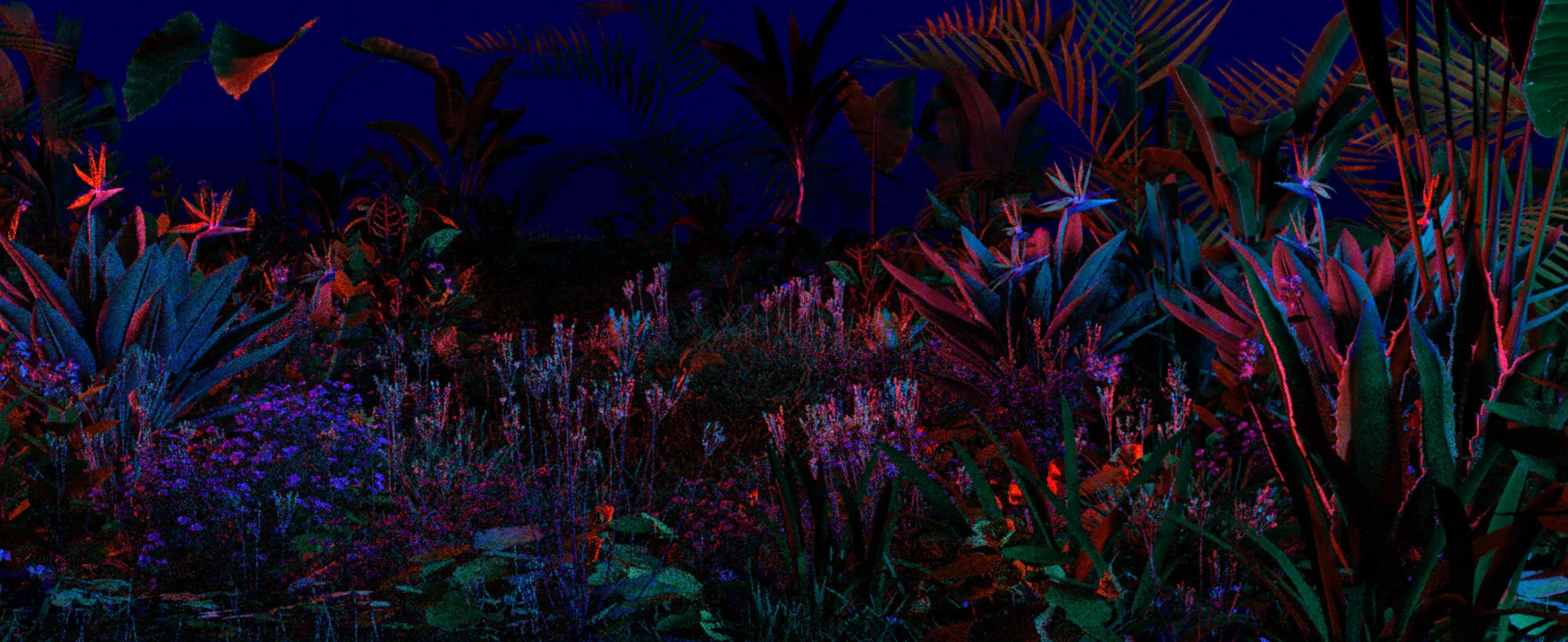 011020_Garden_closeup06a.jpg