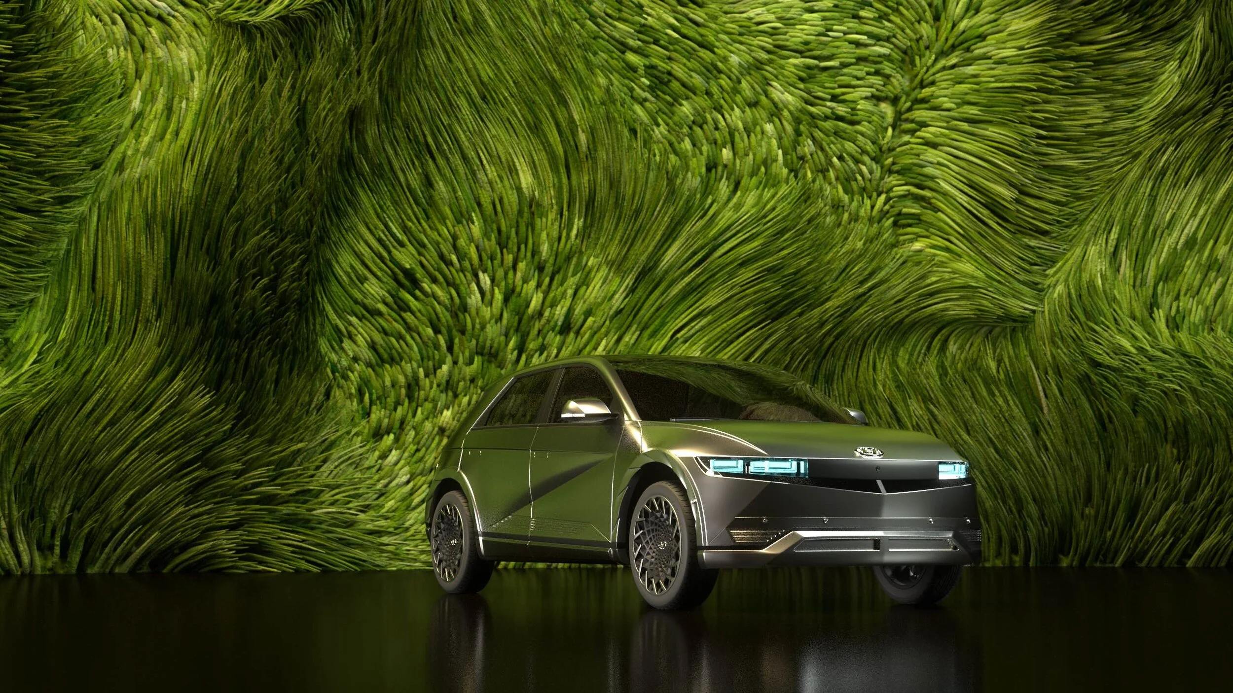 IONIQ__grass_01A.jpeg