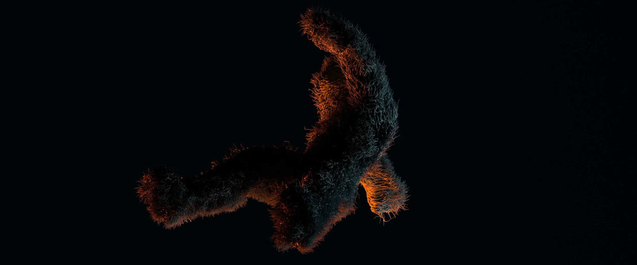 FALL_014AAAA-01 - Copy.jpeg