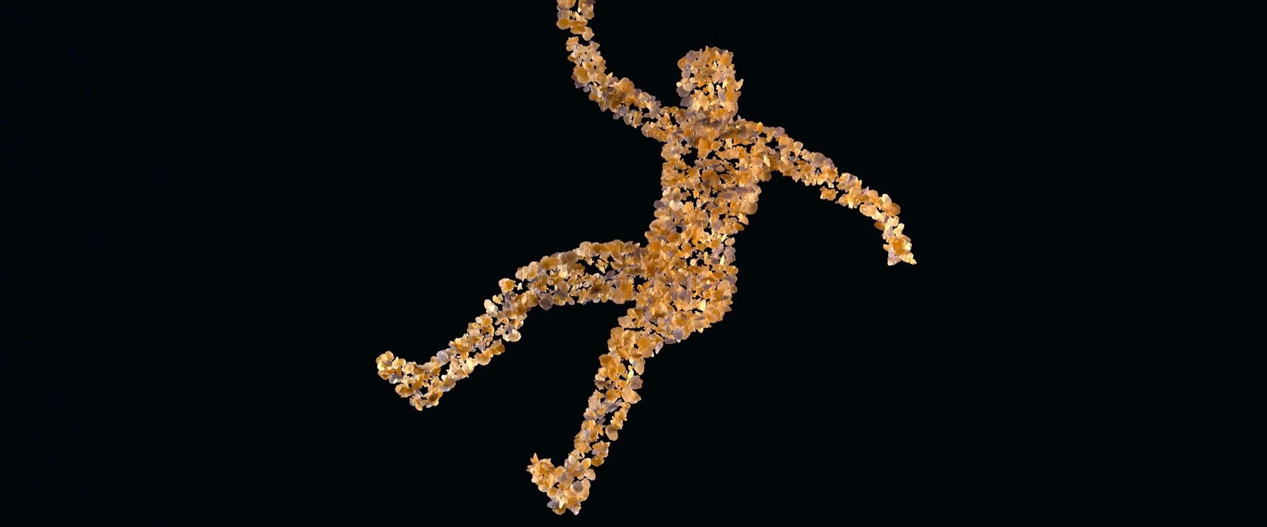 FALL_014AAAA01B - Copy.jpeg