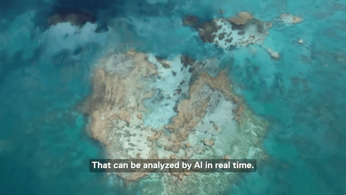 Dell Technologies  Tourists_1080p.gif