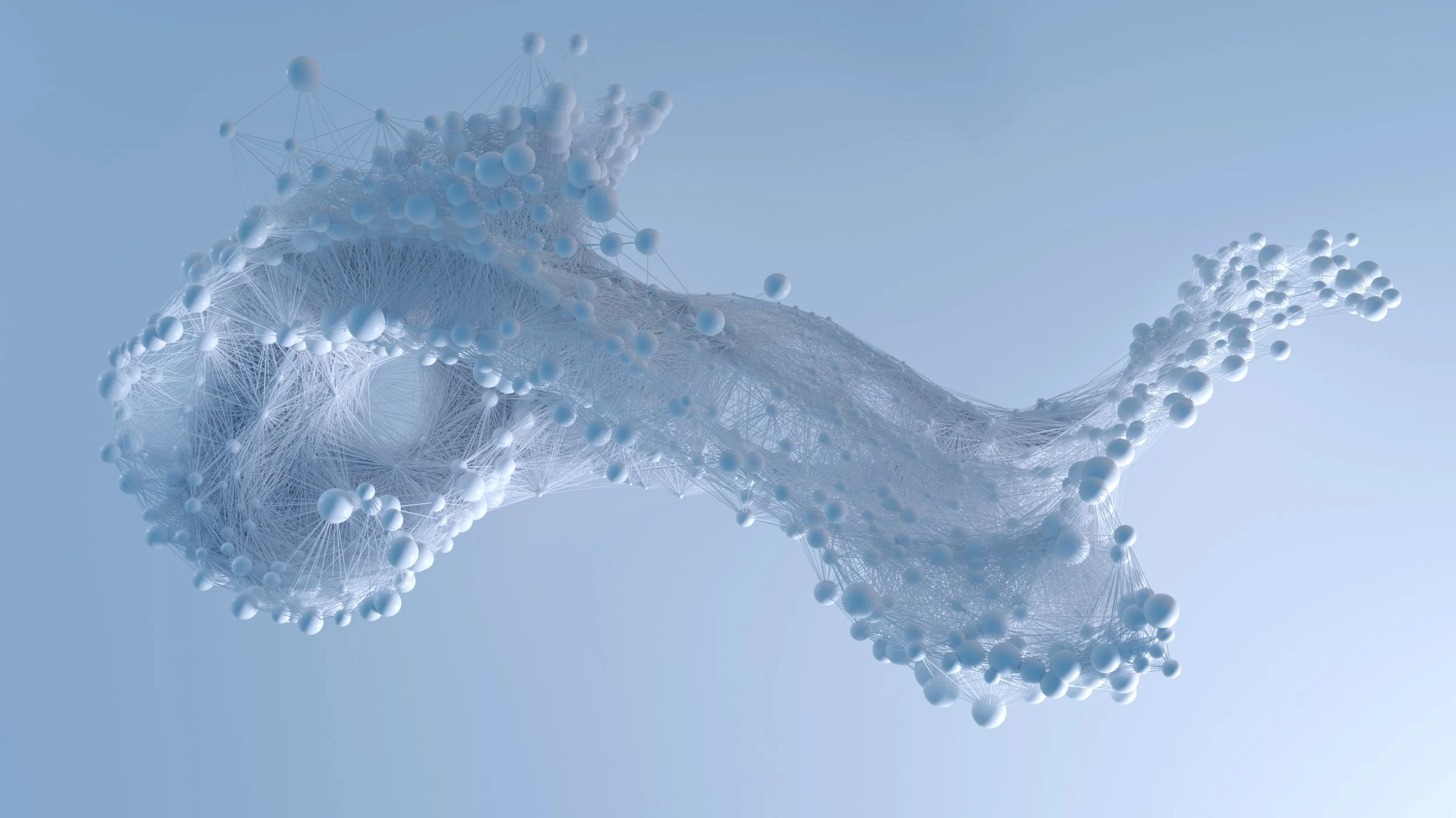 Network01AaBC002CC copy.jpg