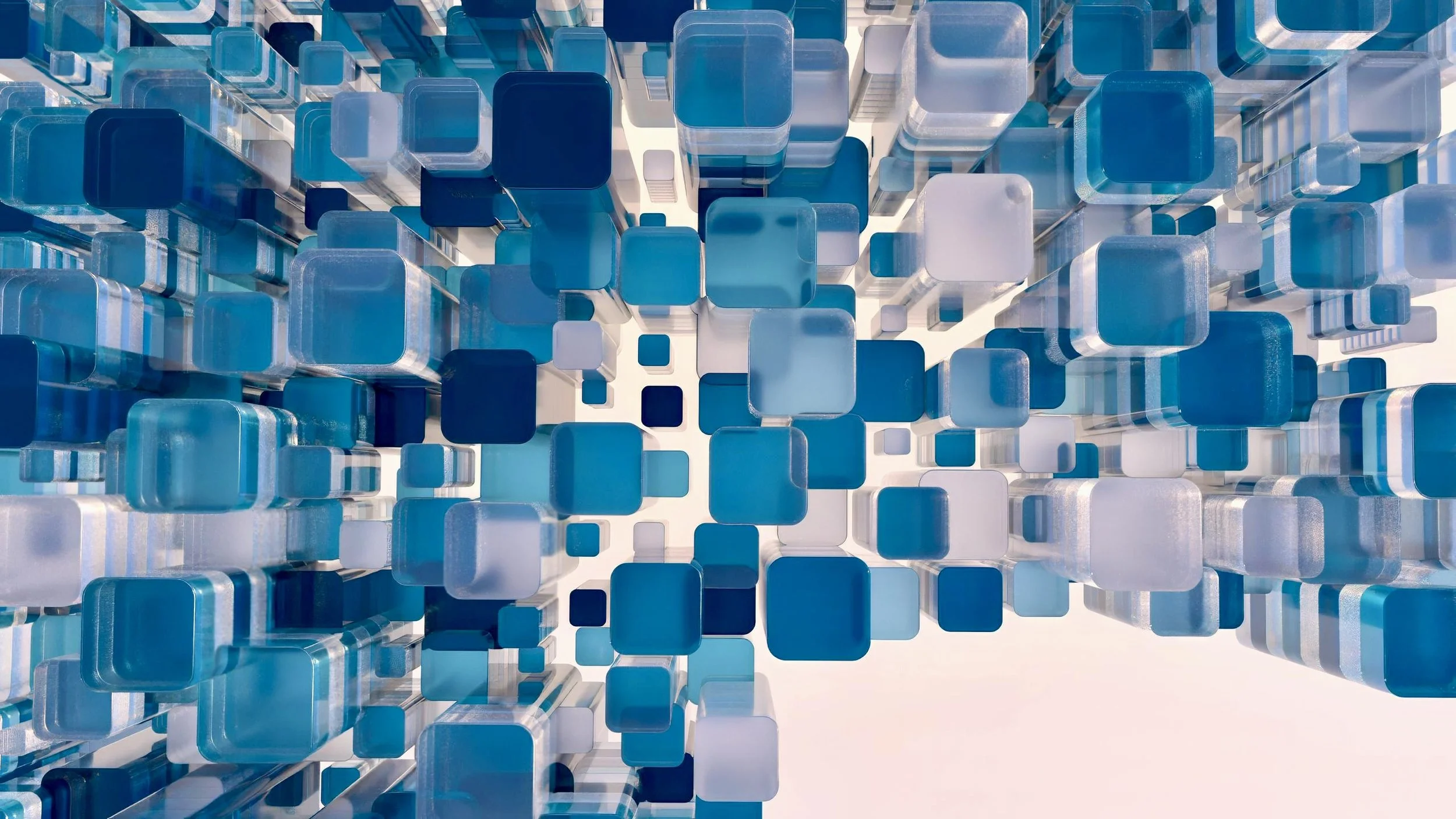 00shape02CCCC-denoise.jpg