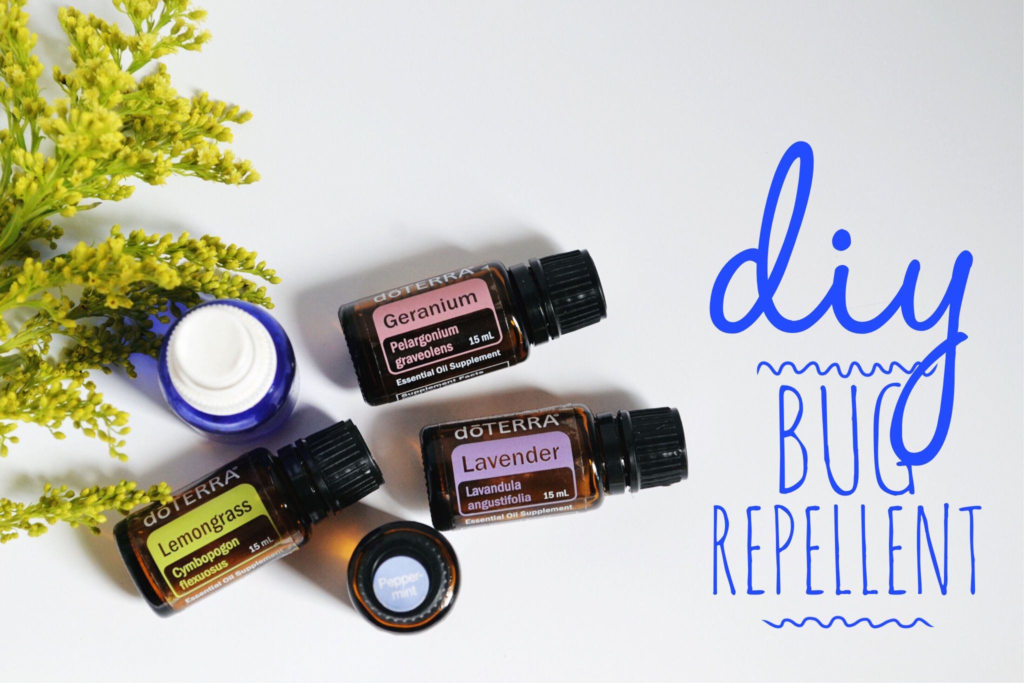 DIY Bug Repellent