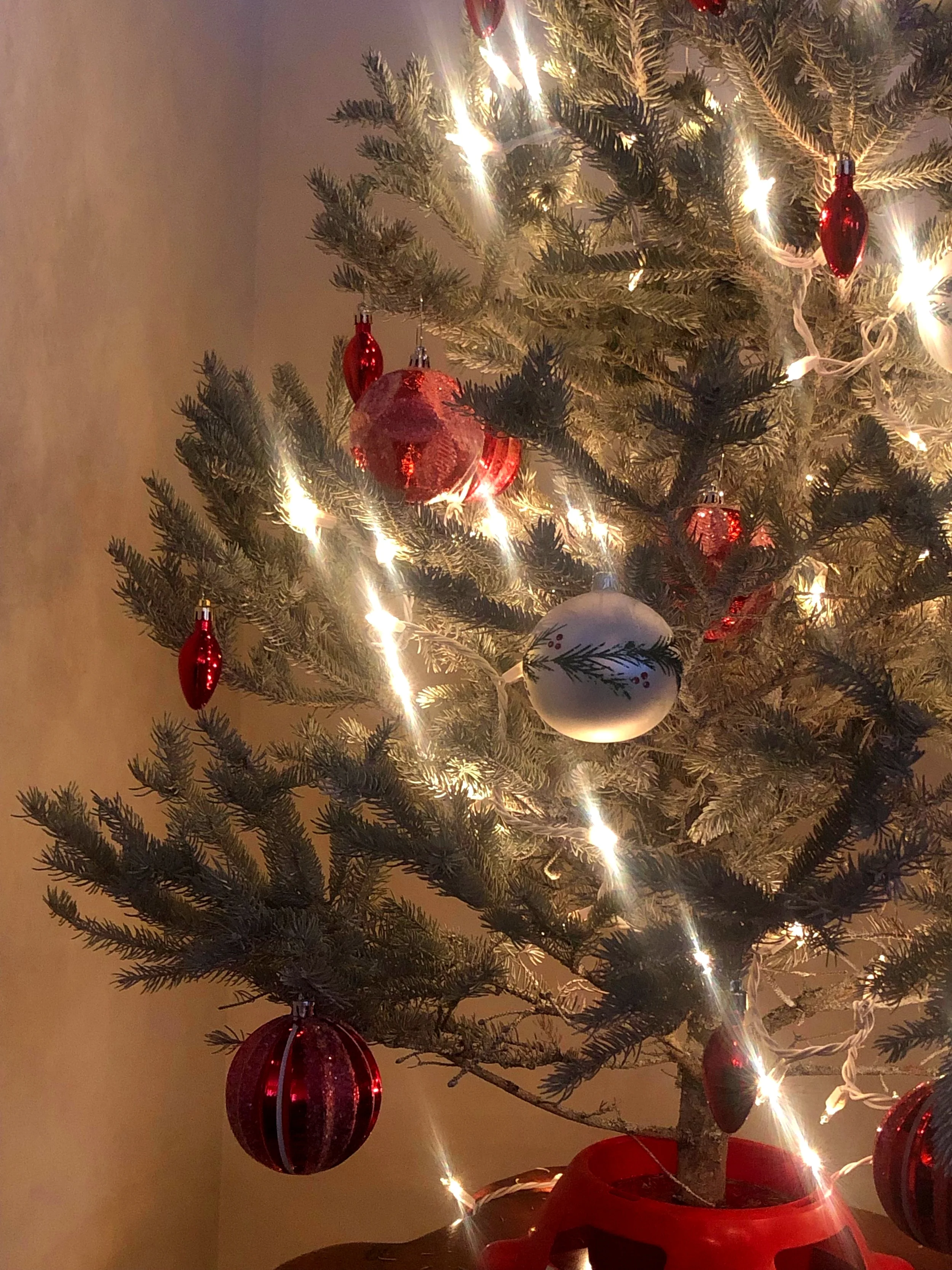 Choosing Your Kind of Holiday