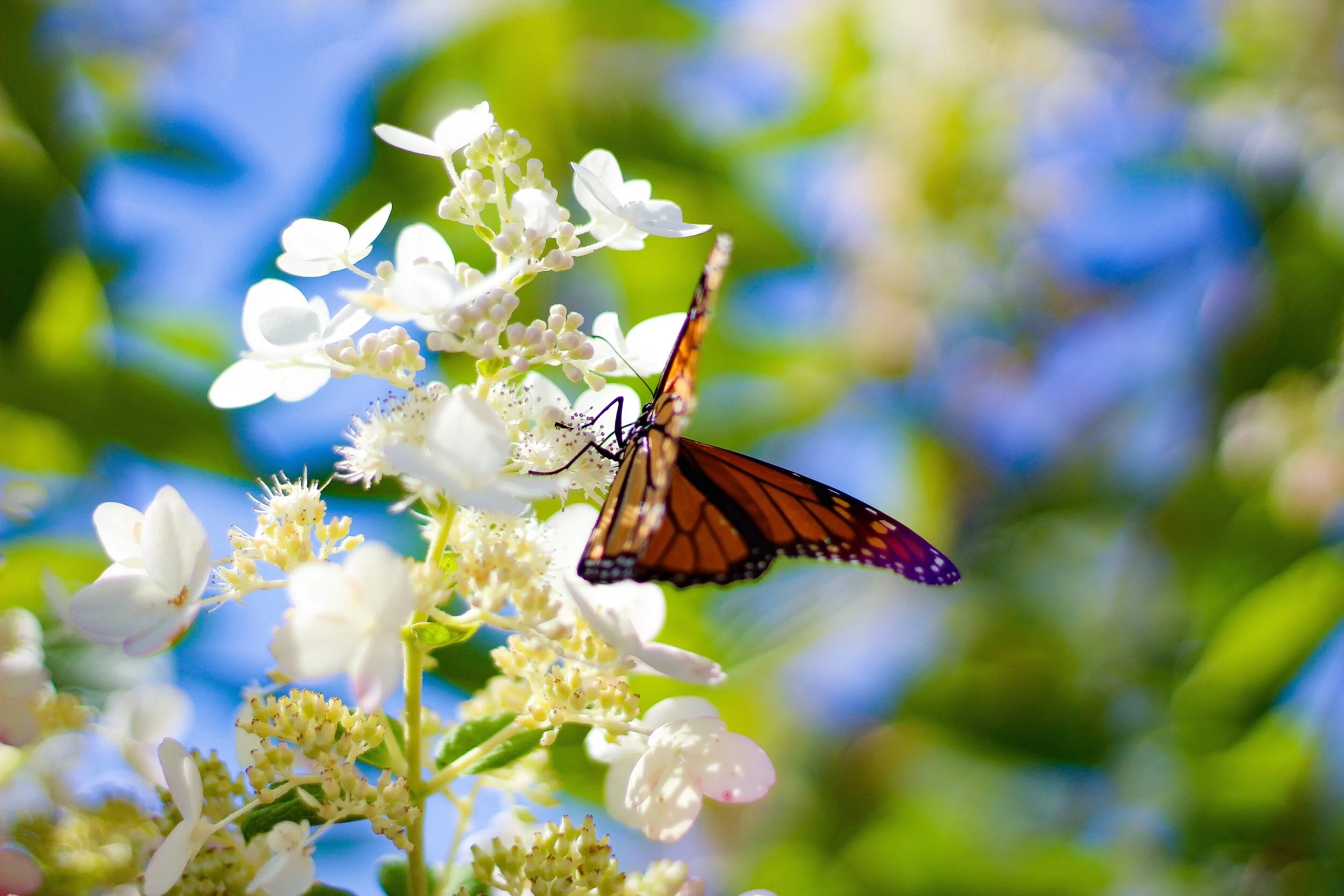 Something Important is Happening Right Now; Are You Paying Attention?