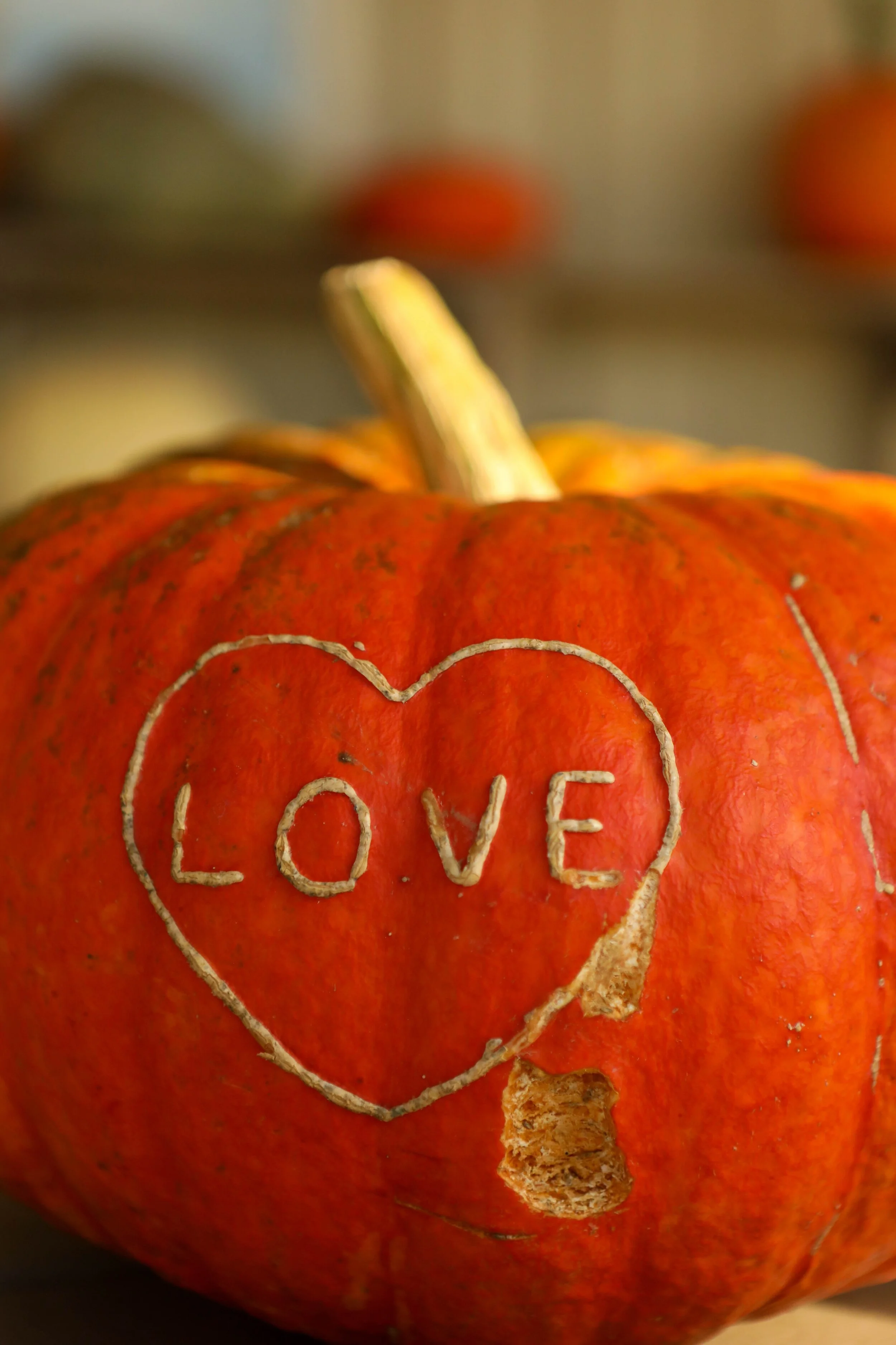 October Brings Joy and Pumpkins, Both Great for Our Health!