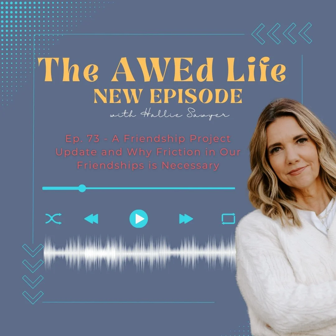 Ep. 73 - A Friendship Project Update and Why Friction in Our Friendships is Necessary