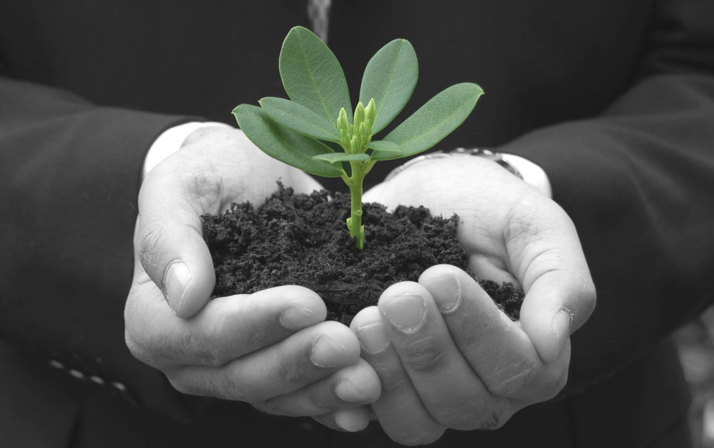 Now Open!-New Office in Downtown Hartford