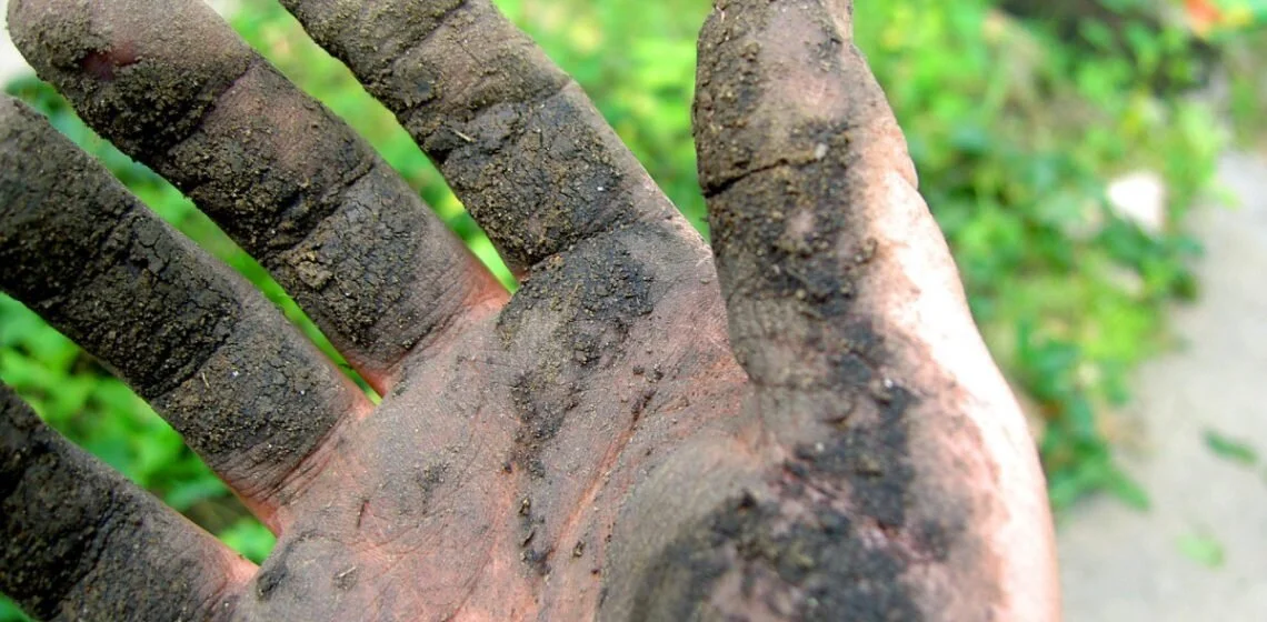 Antidepressant Microbes In Soil: How Soil Makes Your Brain Happy