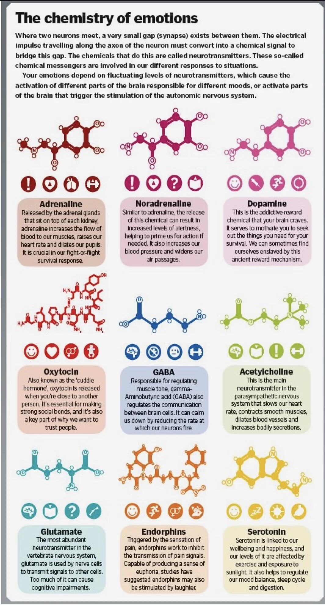 The Science of Happiness