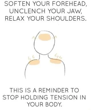 Daily Reminder to Relax 