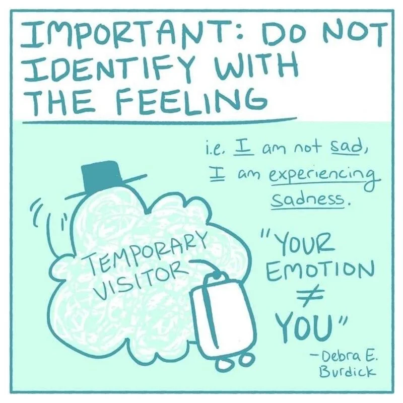 You Are Not Your Emotions