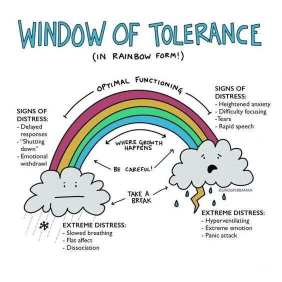Window Of Tolerance