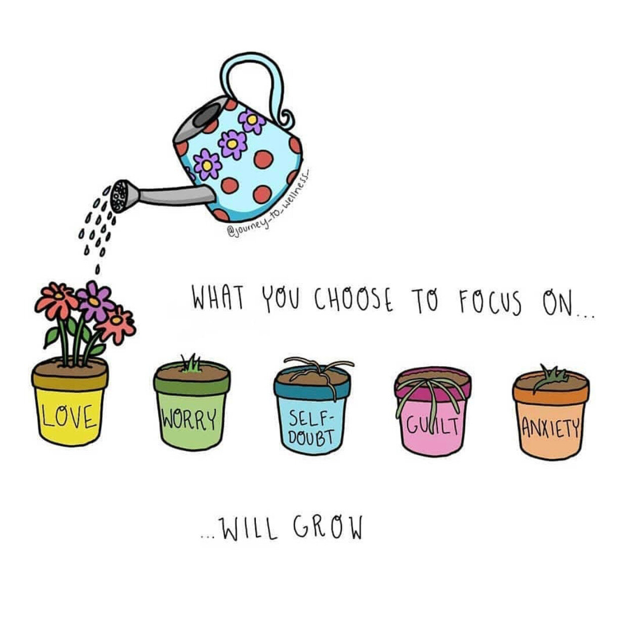 What You Choose to Focus on Will Grow