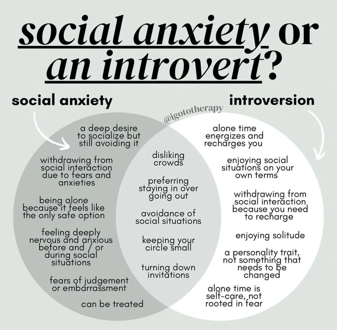 Social Anxiety or An Introvert?