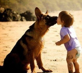we love Dogs because Dogs give their love & loyalty to us unconditionally.