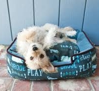 I love my bed!