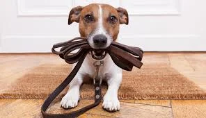 I'm ready for work & Play!!