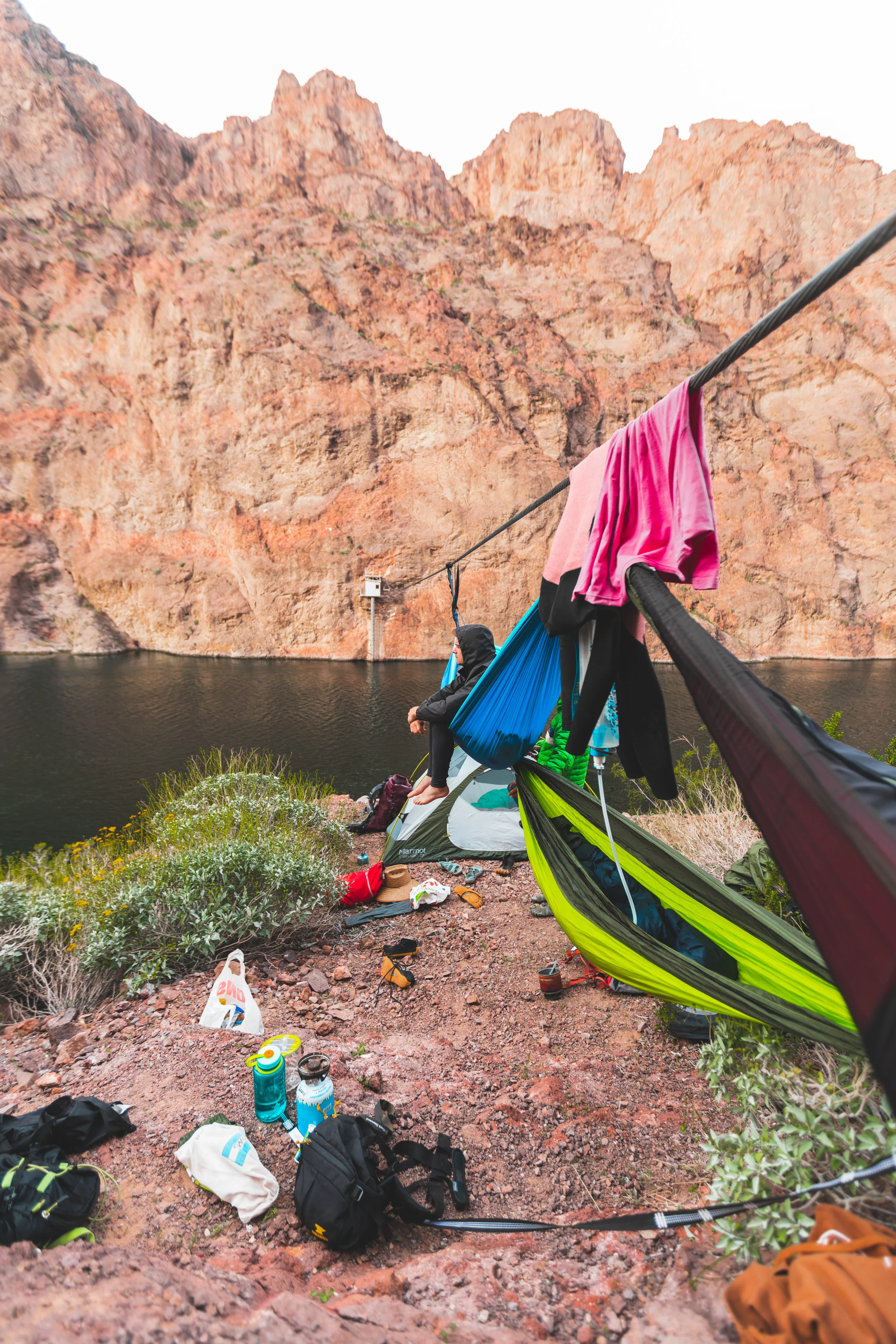 Hammocks on Wire Morning.jpg