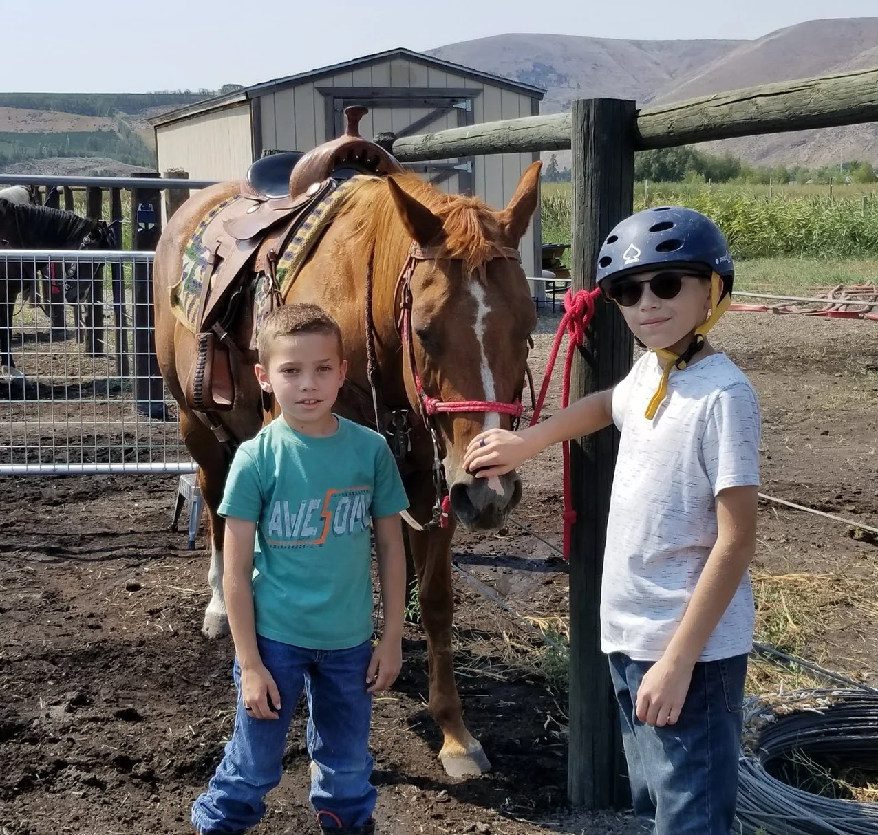 Milli-15 hh (60in) 13 year old Quarter Horse Milli prefers her human family over her equine family. She is extremely stoic and loves attention and quickly becomes your shadow once given affection. Riding level: Beginner