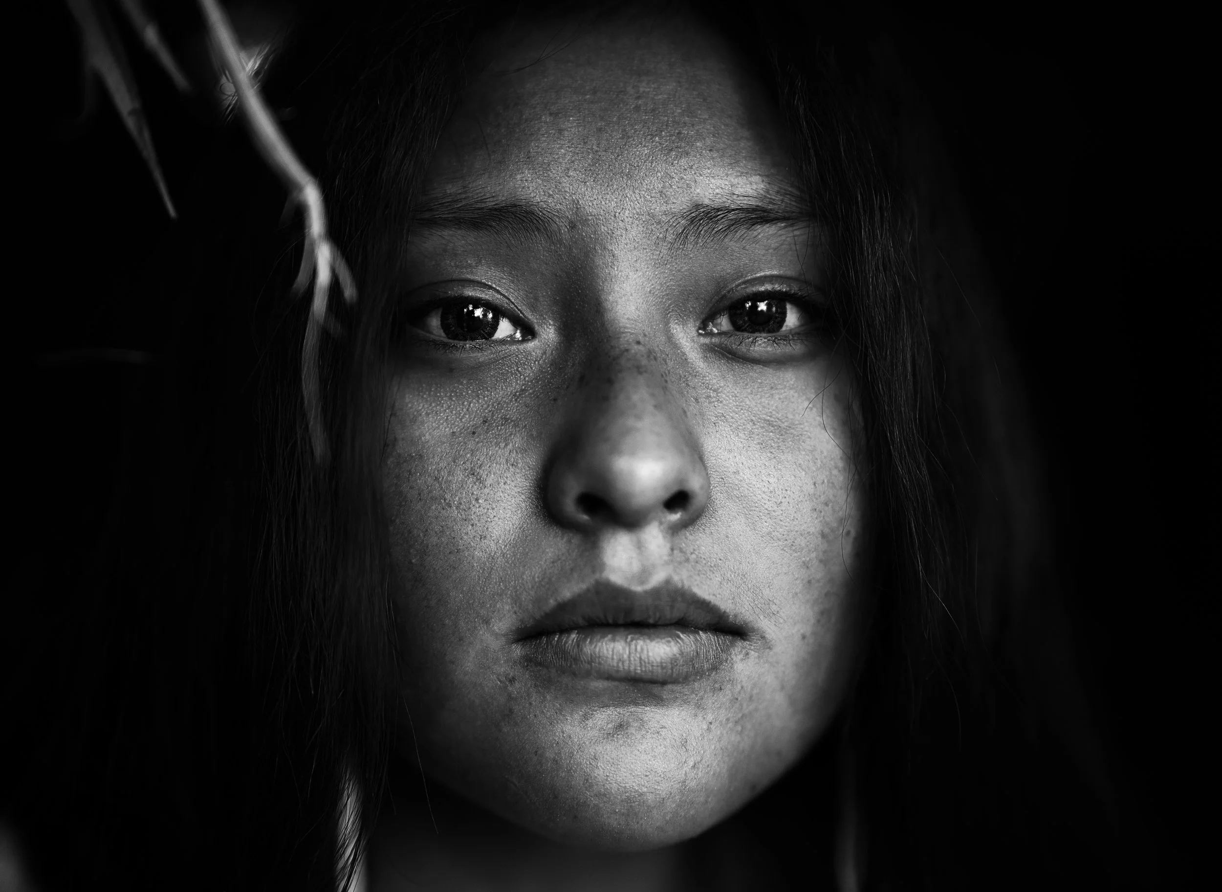 Horizon, The American Saga (Personal)