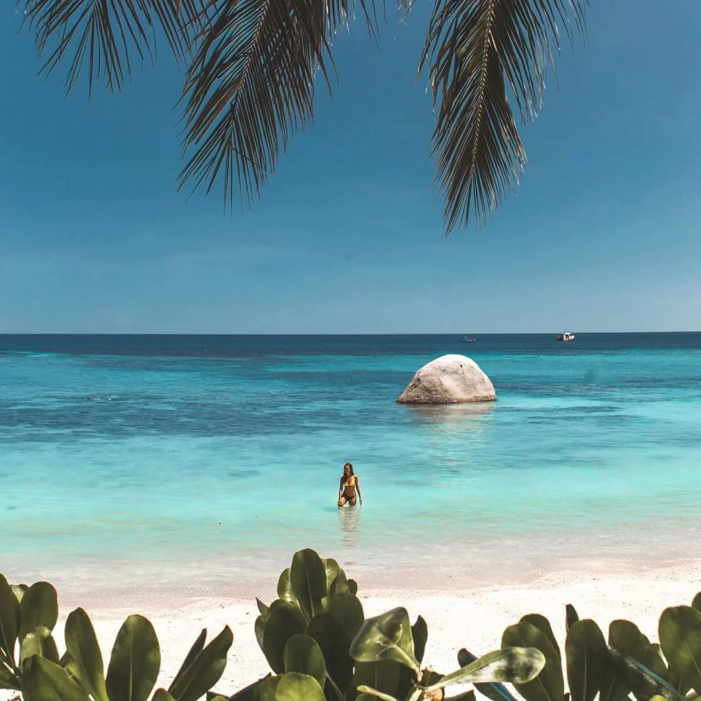 Koh Tao 🌊🌴

Small island. Big energy.

Turquoise water, golden sunsets, jungle hills and that laid-back island rhythm you can&rsquo;t quite explain&hellip; you just feel it.

This little slice of paradise is home to Savage Hostel, right in the hear