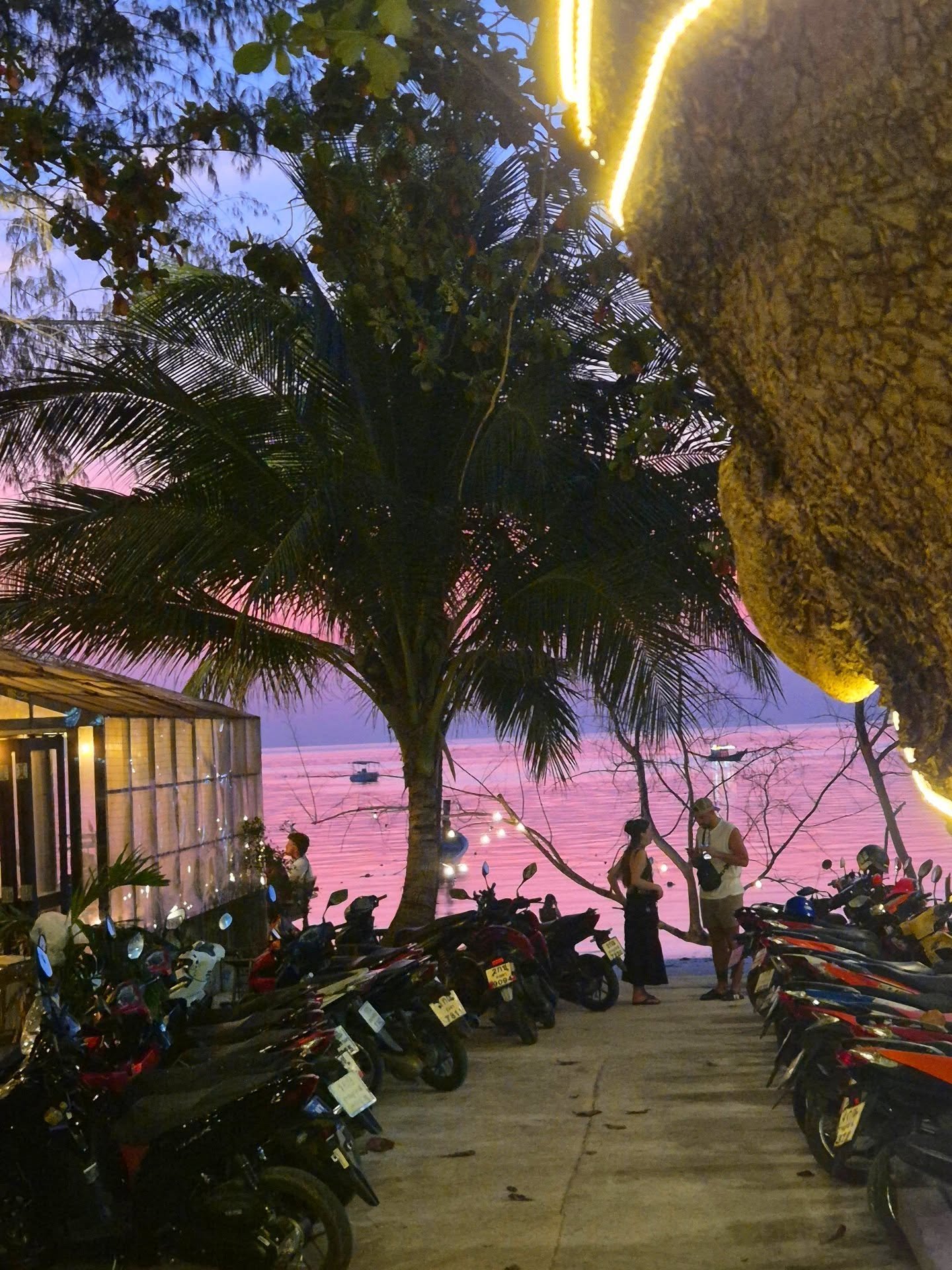 Savage after dark ✨

The music&rsquo;s lower.
The lights are warmer.
The conversations last longer.

Still social, just calmer.
Perfect after a busy day in the Koh Tao sun 🌊☀️

📍Savage Hostel, Koh Tao, Thailand 🇹🇭 
https://www.savagekohtao.com/

