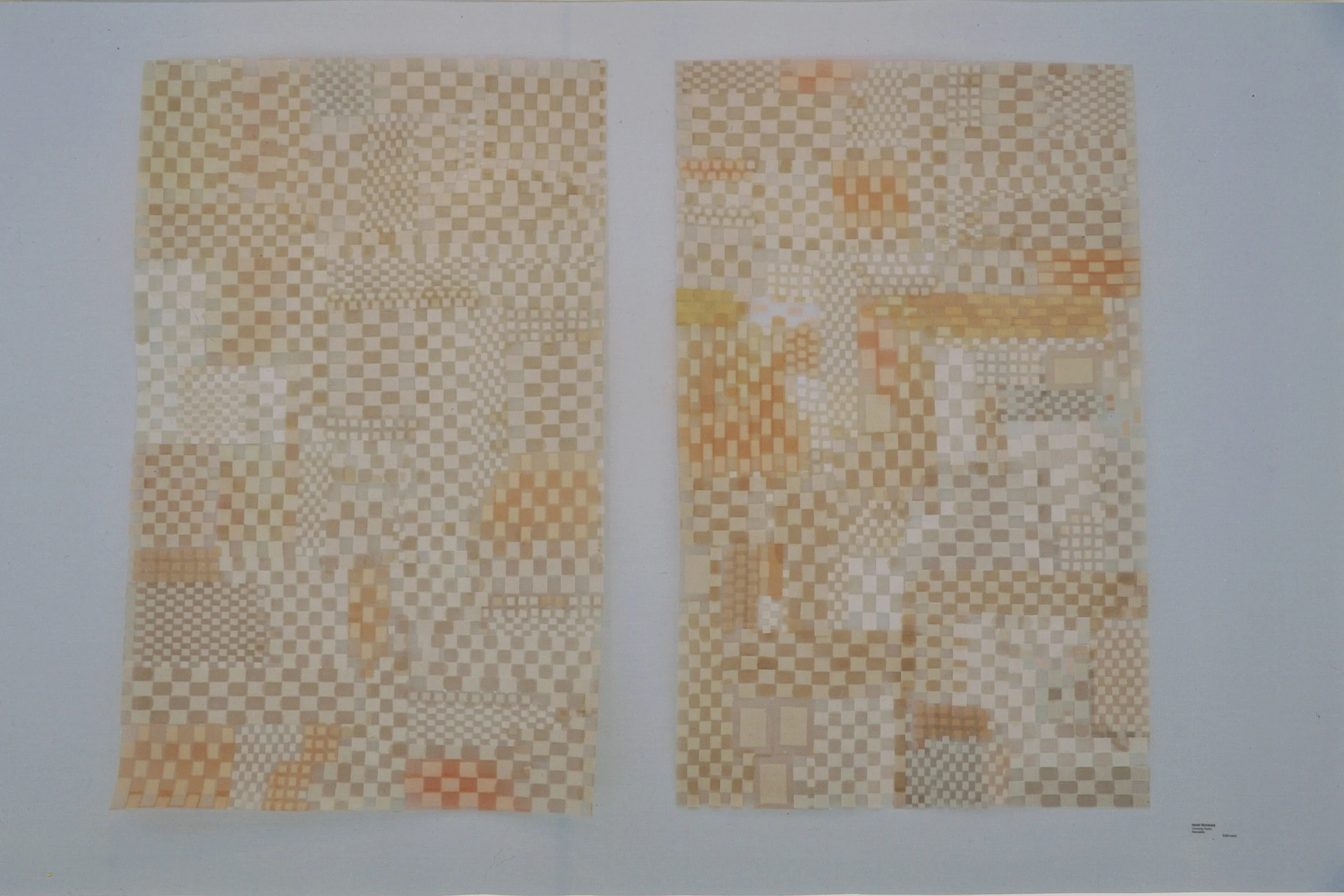 Each 24 in x 36 in, 2010, band-aids