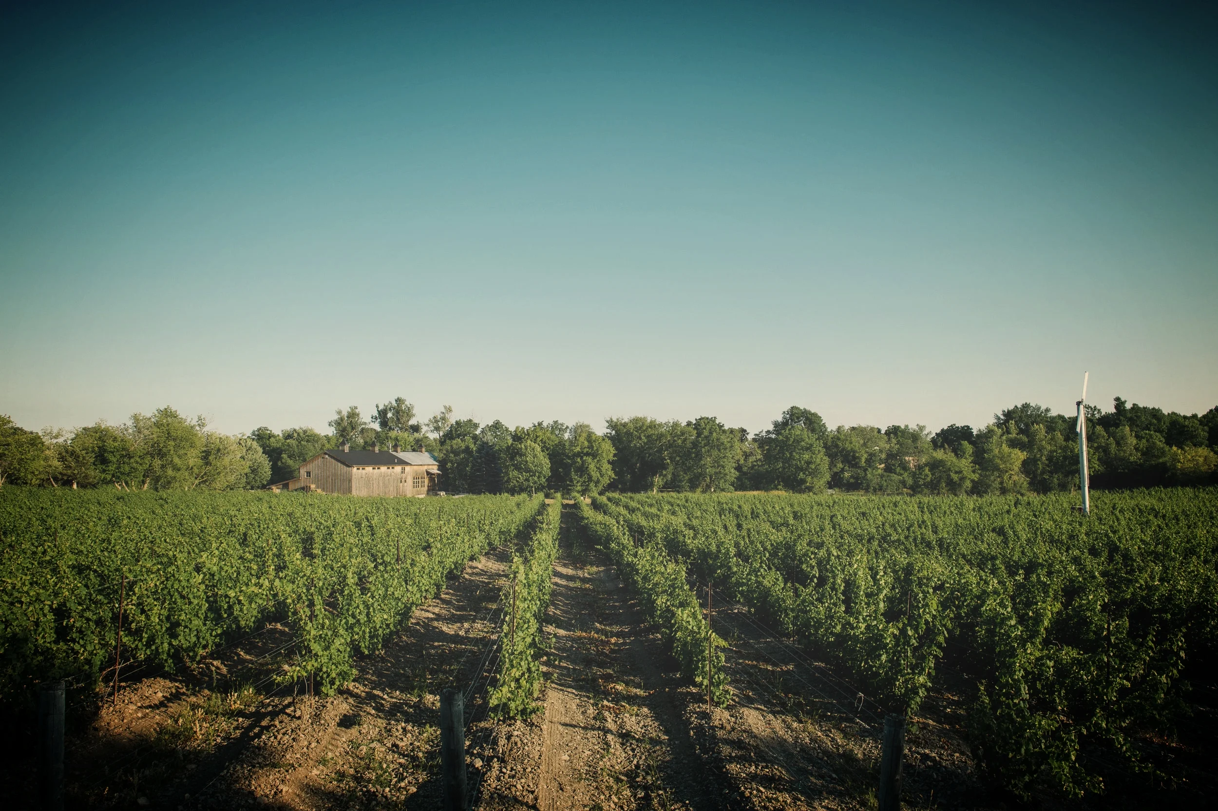 TheGrangewinery-26.jpg