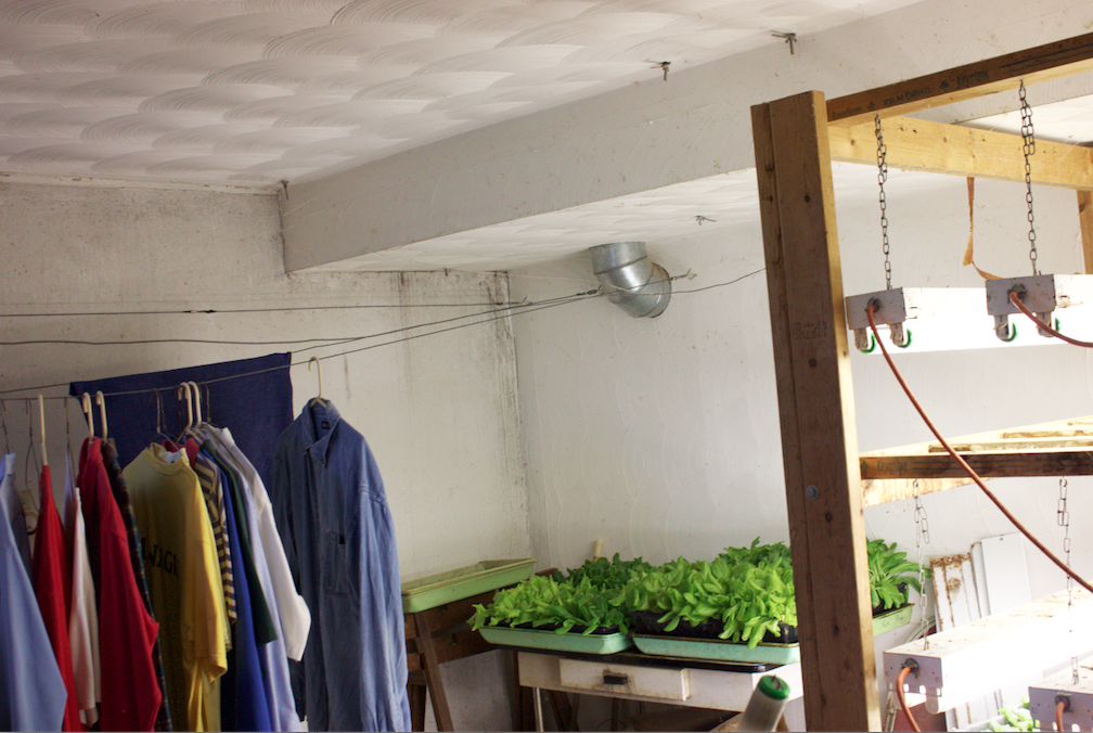 Screen Shot 2017-01-25 at 12.43.50 AM.png