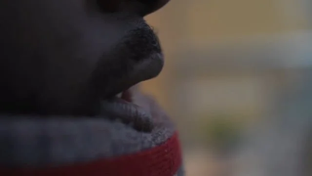 No Wahala Stories: "Music is Universal"