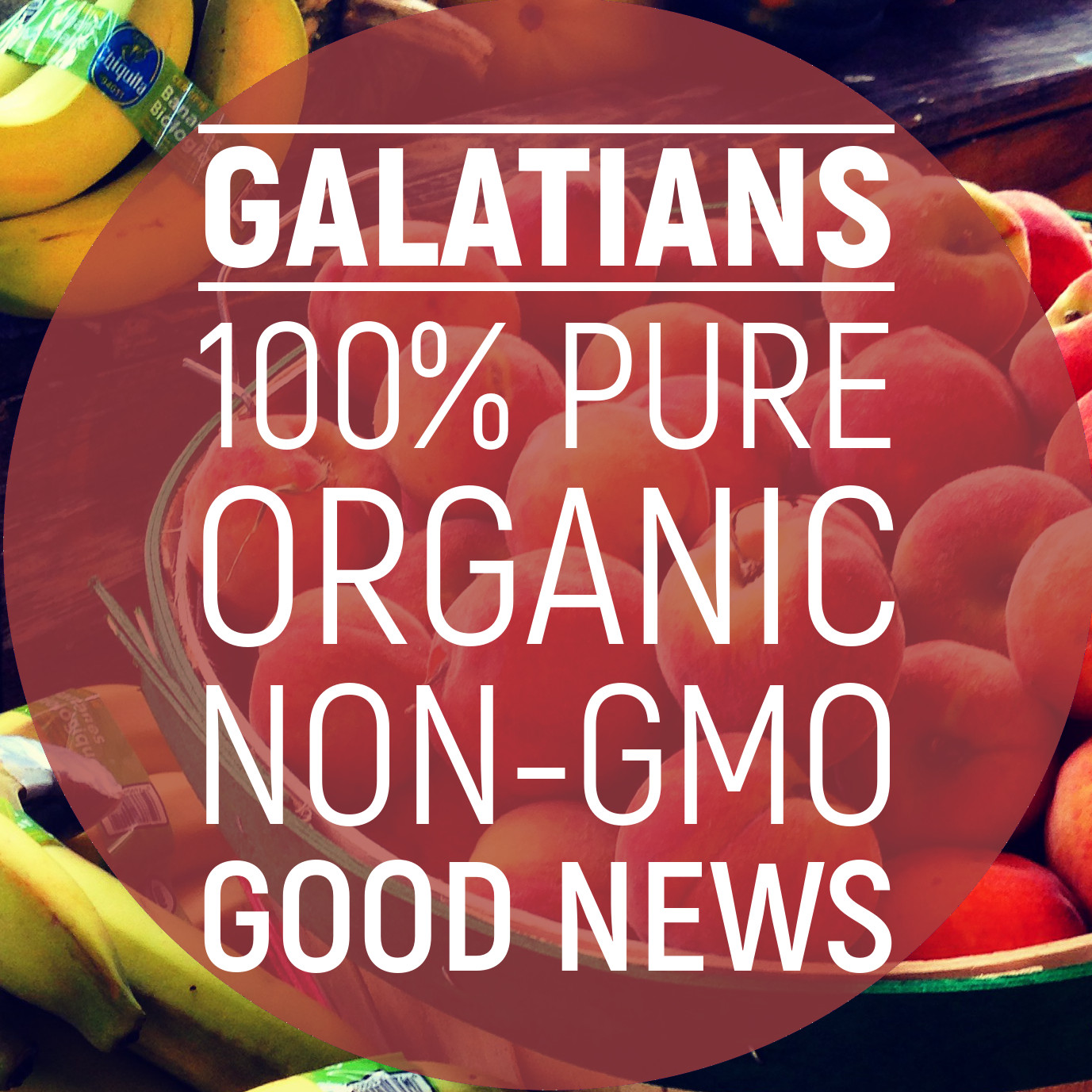 Galatians: 100% Pure, Organic, Non-GMO Good News