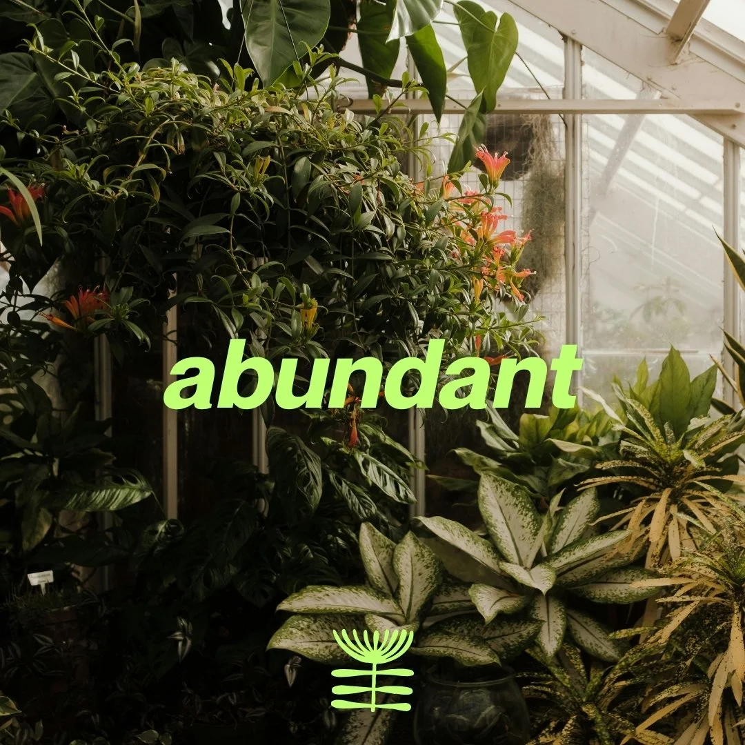 abundant square.jpg