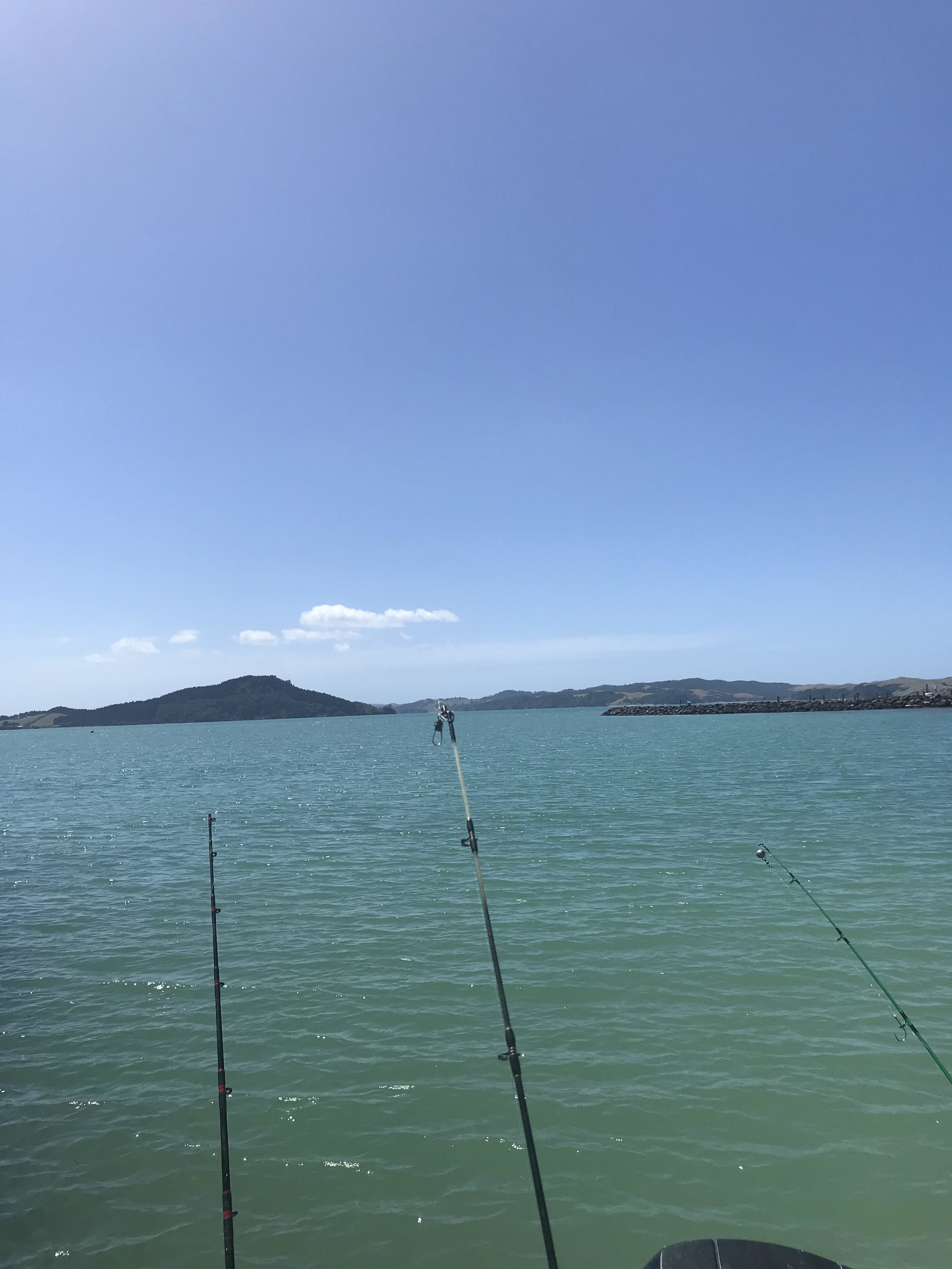  "My break was restful, enjoying time with family, our animals and in the garden, did manage a lovely day on the Hauraki for a fish which was a success. Great Kiwi Summer was enjoyed"  - Lara  