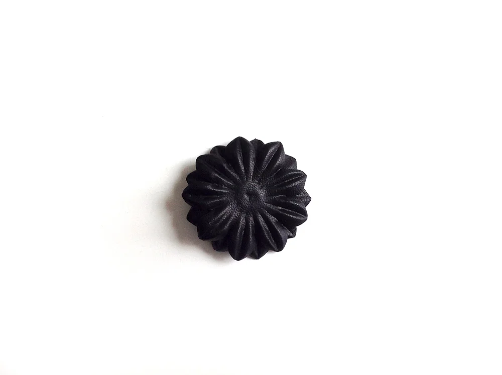 blackleatherdaisy1.jpg