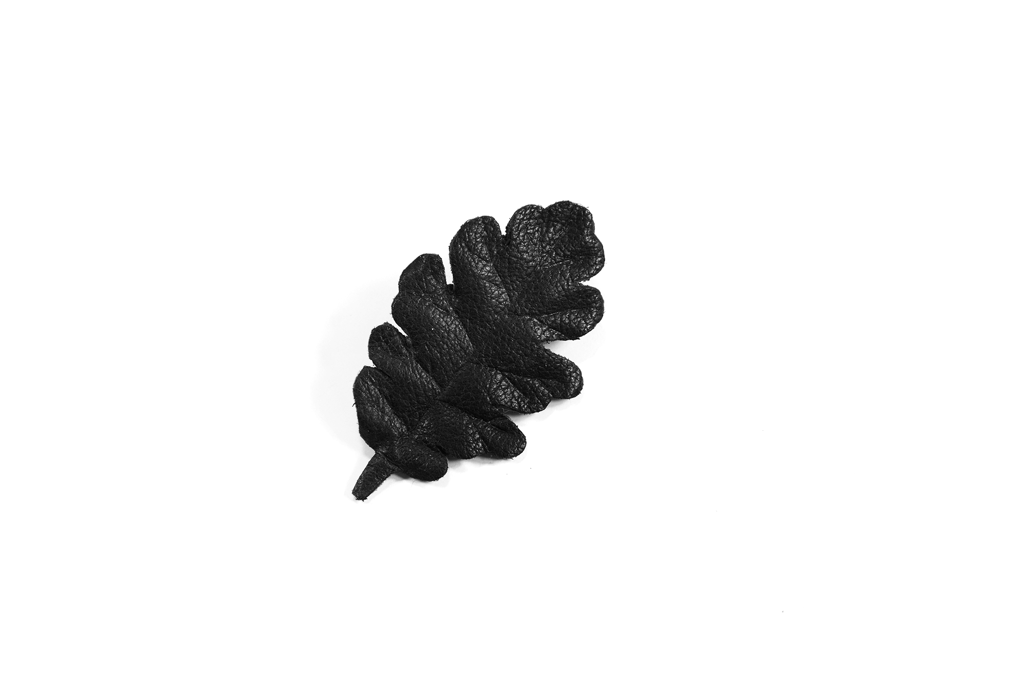 blackleatheroak_1.png