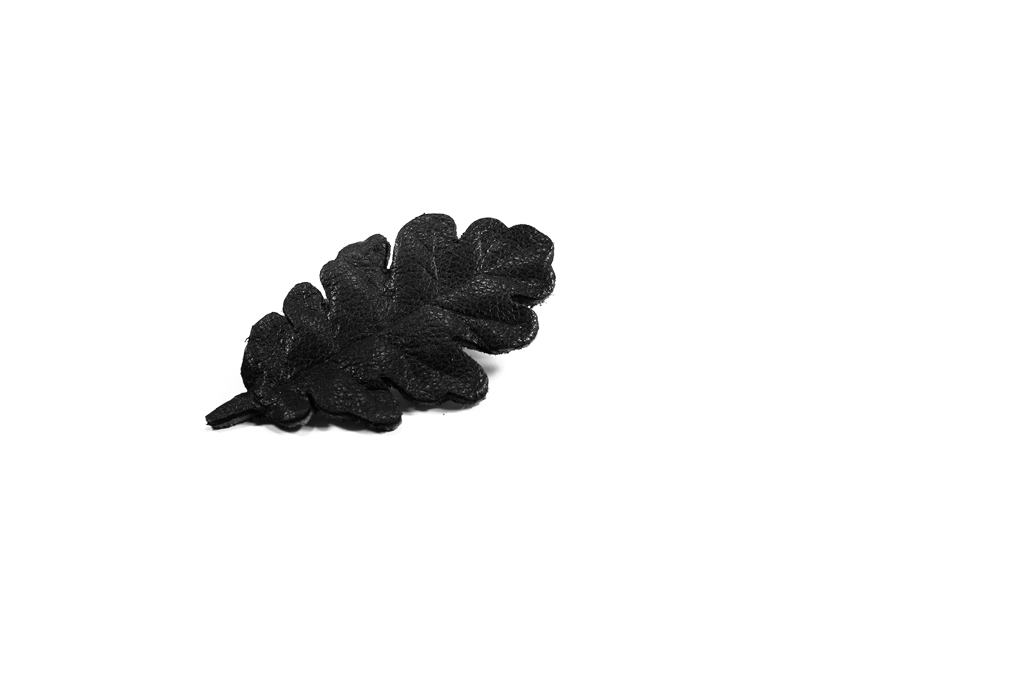 blackleatheroak_3.png