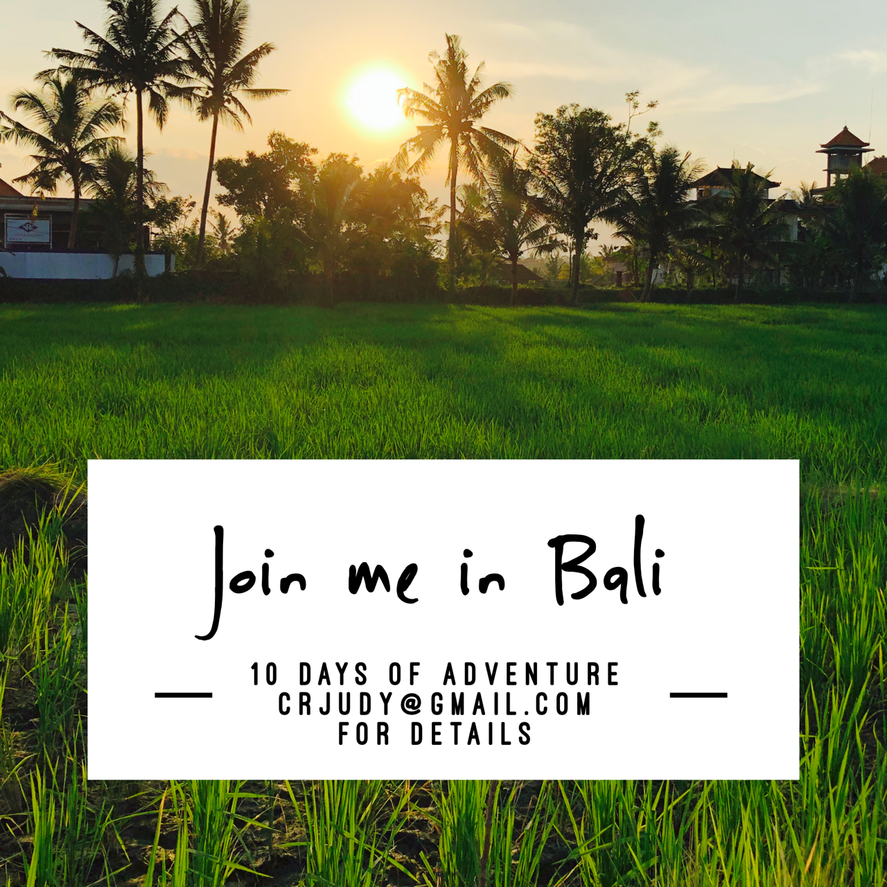 Bali.png