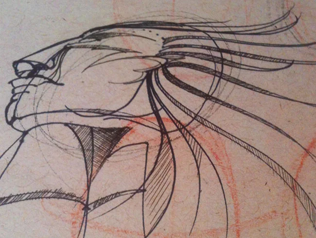 sketch_WILDhair.jpg
